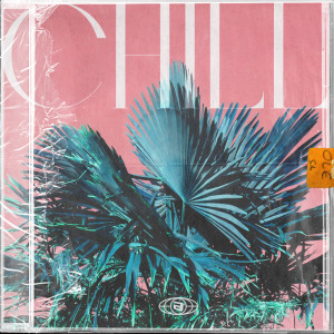 Various的专辑Chill