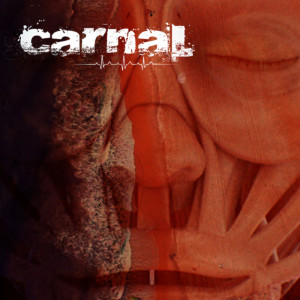 Listen to Koniec song with lyrics from Carnal