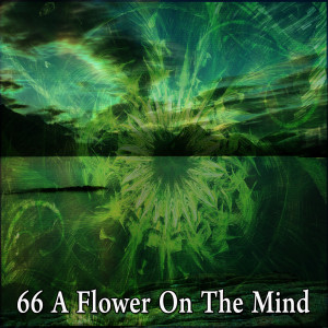 ดาวน์โหลดและฟังเพลง Cleanse Against Umbrage พร้อมเนื้อเพลงจาก Meditation