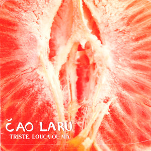 ดาวน์โหลดและฟังเพลง Triste, Louca ou Má พร้อมเนื้อเพลงจาก Čao Laru