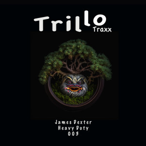 ดาวน์โหลดและฟังเพลง Heavy Duty พร้อมเนื้อเพลงจาก James Dexter