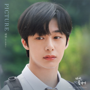 Listen to Picture song with lyrics from 형원