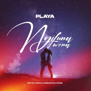 Album Ngifuna Wena from Playa