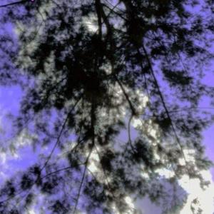 Dengarkan lagu Metaelec (Live) nyanyian L.E.C. dengan lirik