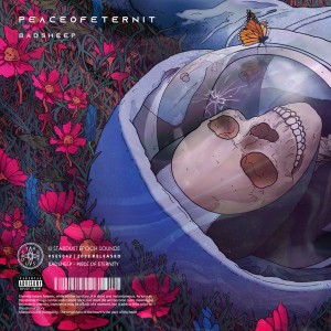 Dengarkan lagu Peace of Eternity nyanyian BadSheep dengan lirik