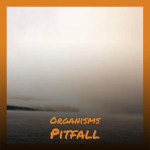 Album Organisms Pitfall from Various Artists