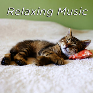 อัลบัม Relaxing Music ศิลปิน Relaxing Music