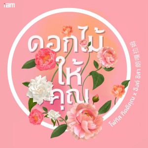 อัลบัม ดอกไม้ให้คุณ (为世界献花) - Single ศิลปิน โฟกัส กิตติคุณ