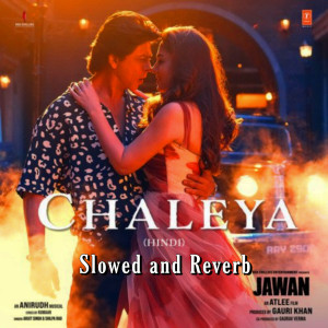Chaleya [Jawan] (Slowed and Reverb)