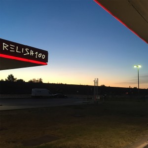 Album RELISH100 oleh Various Artists