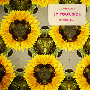 Calvin Harris的專輯By Your Side