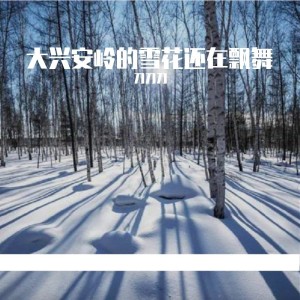 Listen to 大兴安岭的雪花还在飘舞 (完整版) song with lyrics from 刀刀刀
