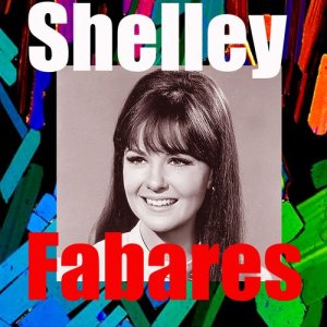 ดาวน์โหลดและฟังเพลง It´s Been a Long, Long Time พร้อมเนื้อเพลงจาก Shelley Fabares