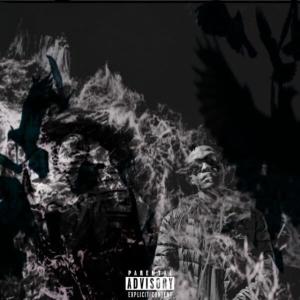 Listen to Distructive Trap (with B33) song with lyrics from Ink203