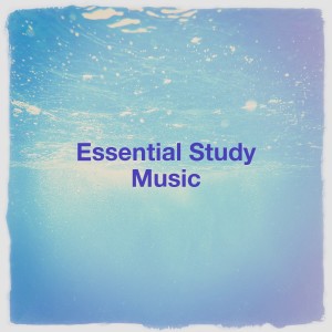Album Essential Study Music from Relaxing Zen World Music