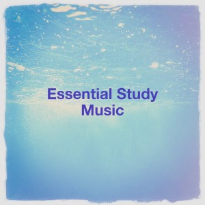 Listen to Tender Night song with lyrics from Piano Harmonium