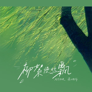 Listen to 柳絮慢些飘 song with lyrics from 林怡婕