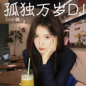 Album 孤独万岁DJ from 