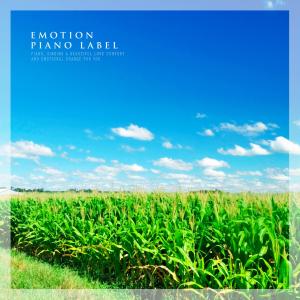 Listen to A Soft Smile song with lyrics from 네피