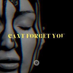 Album Can't Forget You oleh Loka