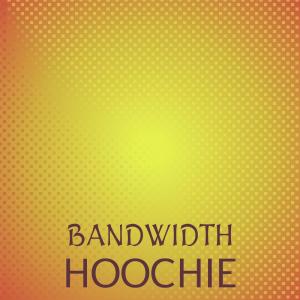 Listen to Bandwidth Hoochie song with lyrics from Telva Sree