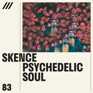 Listen to Emotional Swing song with lyrics from Skence