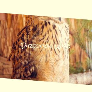 Dengarkan lagu Dye All nyanyian Elung Breur dengan lirik