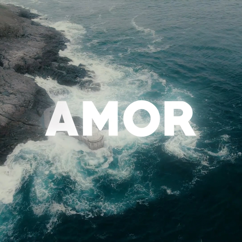 Amor
