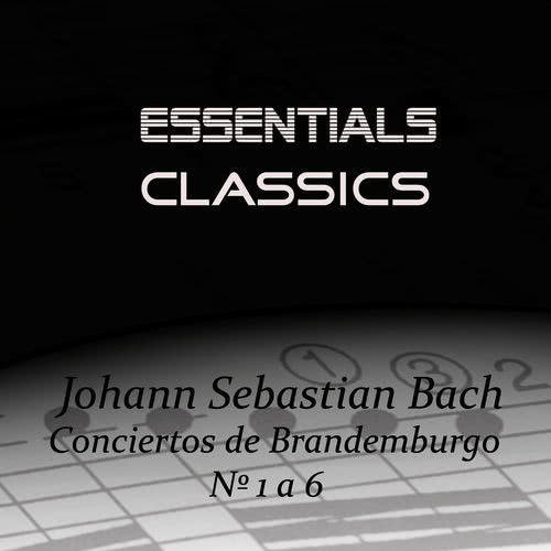 Brandenburg Concerto No. 6 In B Flat, BWV 1051: I. Allegro