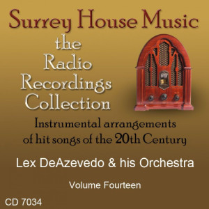 ดาวน์โหลดและฟังเพลง Don't Say You Don't Remember พร้อมเนื้อเพลงจาก Lex DeAzevedo