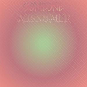 Album Someone Misnomer oleh Various