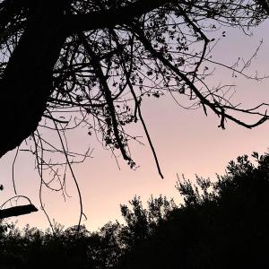 收聽niyu2k的SNOWMAN (Explicit)歌詞歌曲