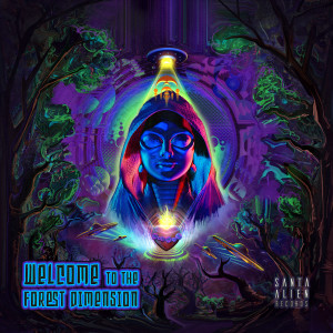 Various Artists的專輯Welcome To The Forest Dimension (Explicit)