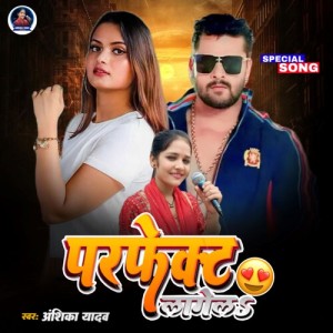 Listen to Perfect Lagel song with lyrics from Anshika Yadav