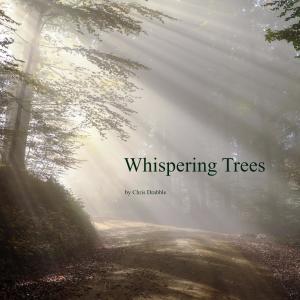 收聽Chris Drabble的Dream Walking歌詞歌曲