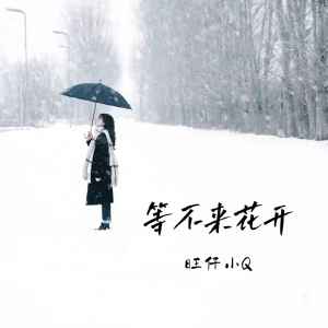 Album 等不来花开 (女声版) oleh 旺仔小Q
