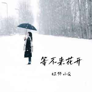 Dengarkan lagu 等不来花开 (女声版) nyanyian 旺仔小Q dengan lirik