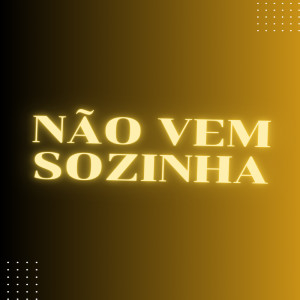 ดาวน์โหลดและฟังเพลง NÃO VEM SOZINHA (Explicit) พร้อมเนื้อเพลงจาก DA NORTE PROD