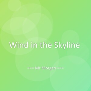 收听Mr Morgan的Wind in the Skyline歌词歌曲