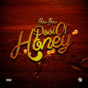 อัลบัม Pool Of Honey (Explicit) ศิลปิน Boo Boo