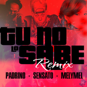 Album Tu No Lo Sabe (feat. Padrino Lzf & MelyMel) from 