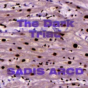 收聽Sadis的The Dark Triad歌詞歌曲