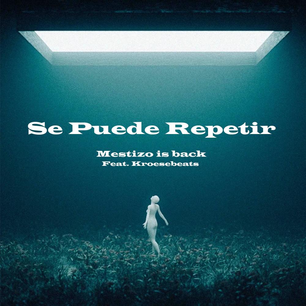 Se Puede Repetir (feat. Mestizo Is Back) (Latin Tech House)