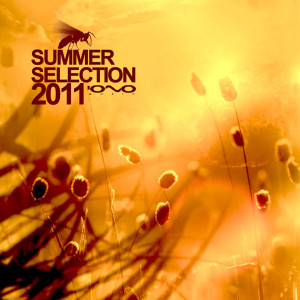Various的專輯Summer Selection 2011