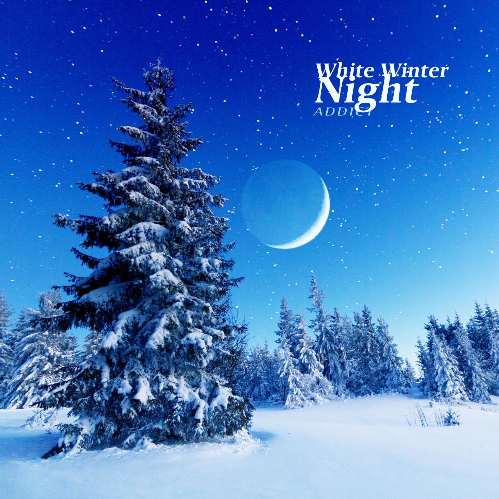 White Winter Night