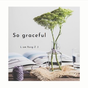 Album So graceful from 容子嘉