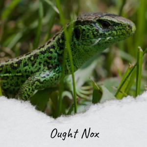 Listen to Ought Nox song with lyrics from Aria Keid