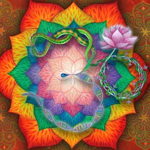 Listen to Reforming Roots song with lyrics from Geometrae