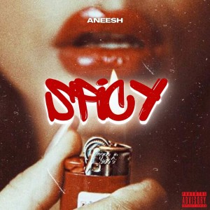 Album Spicy (Explicit) from Aneesh