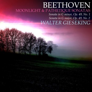 Listen to Piano Sonata No. 8 in C Minor, Op. 13, "Pathétique": I. Grave song with lyrics from 吉泽金